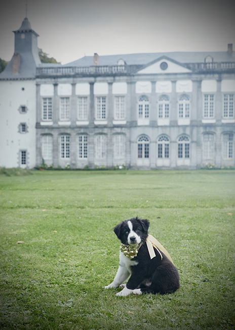COVER_223